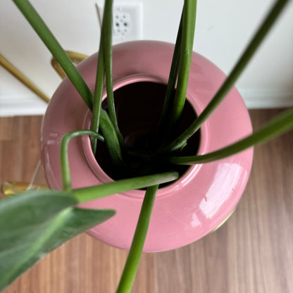 Pink Ceramic Vase